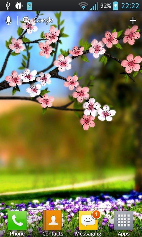 Spring Flowers