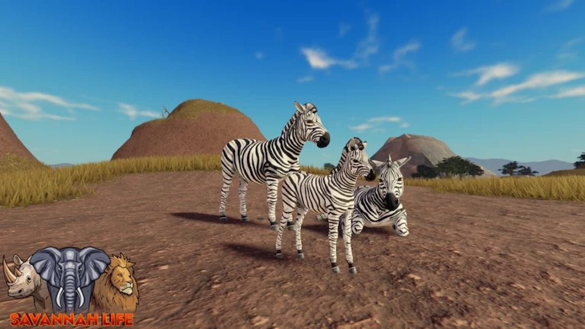 Savannah Life Codes（2025年1月）