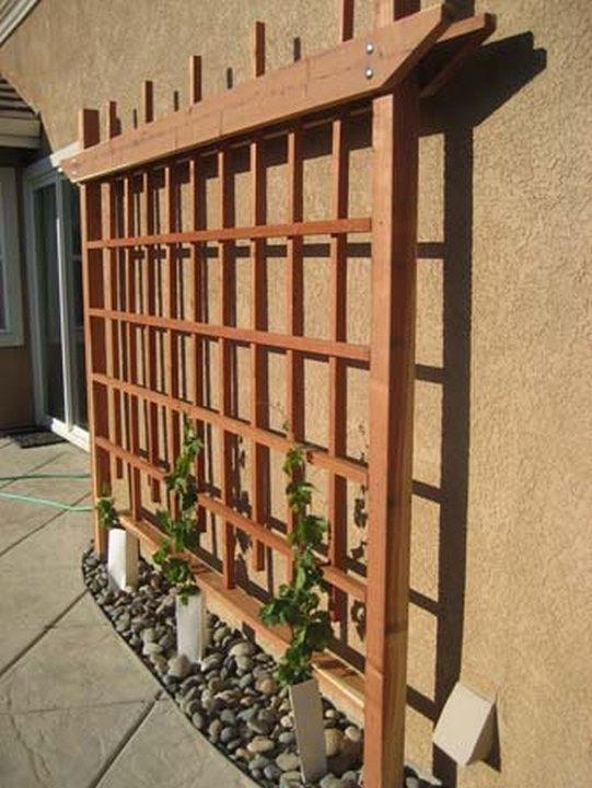 Trellis Timber Innovative Desi