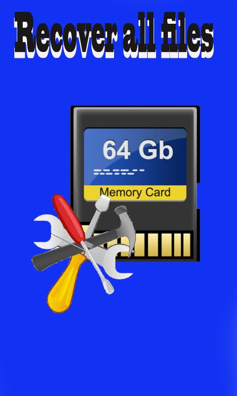 Memory Card For Storage - 64GB