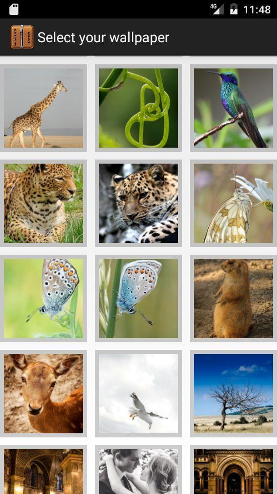 Lock Screen - Wallet Theme