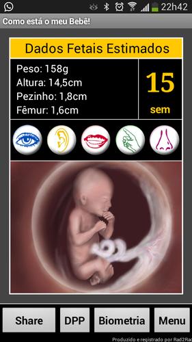 Gravidez ao Vivo LITE