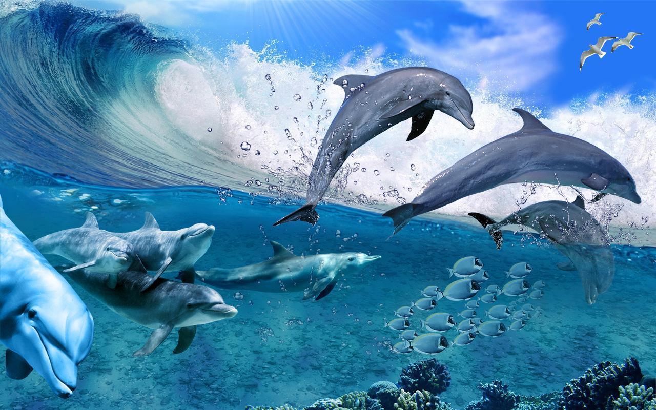 Happy Dolphins Live Wallpaper