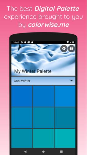My Winter Palette