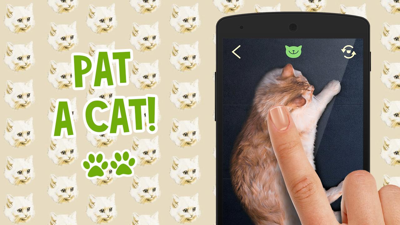 Pat the Cat Simulator