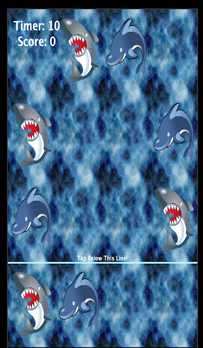 Don't Tap or Touch The Shark!